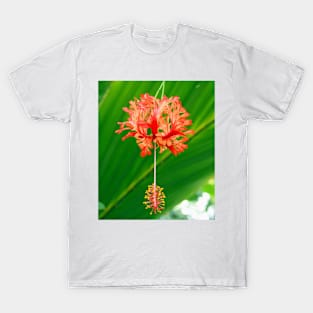 Red Hanging Flower Bloom T-Shirt